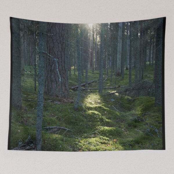 Item preview, The Sun of the Forest designed and sold by Jouko Lehto Photography.