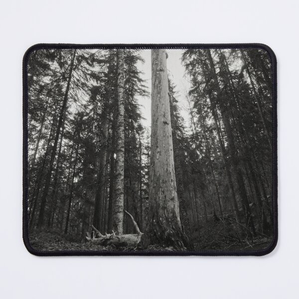 Item preview, The Tall One bw designed and sold by Jouko Lehto Photography.