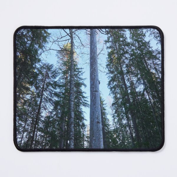 Item preview, The Tall One designed and sold by Jouko Lehto Photography.