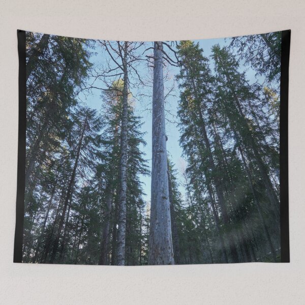 Item preview, The Tall One designed and sold by Jouko Lehto Photography.