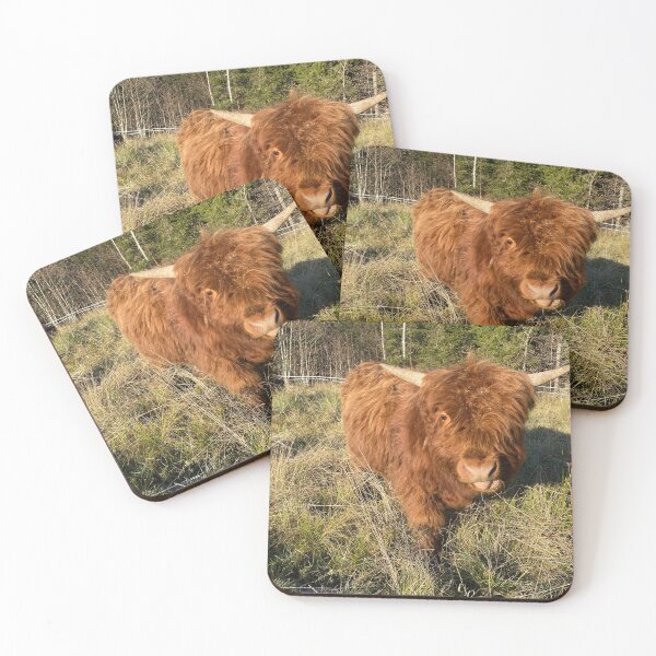 Item preview, Scottish Highland Cattle Bull 4626 designed and sold by SaarelaHighland.