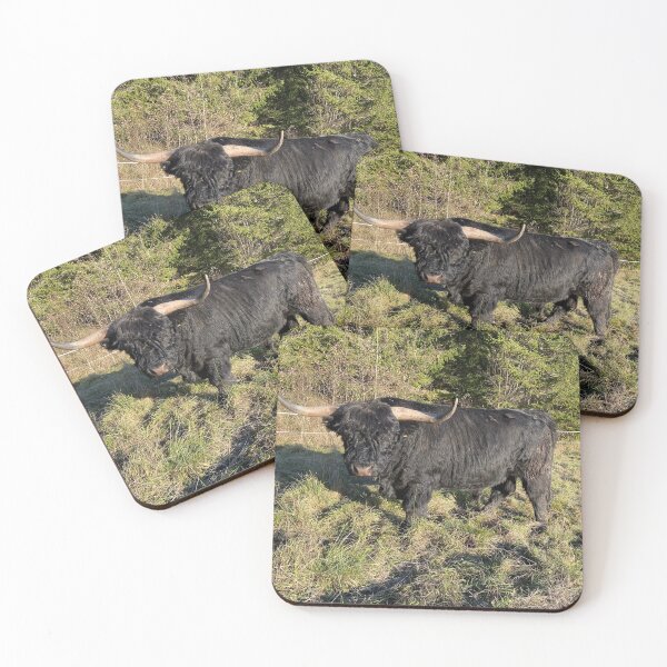 Item preview, Scottish Highland Cattle Bull 4627 designed and sold by SaarelaHighland.