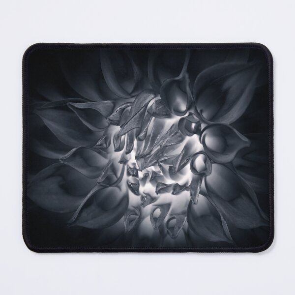 Item preview, An art print of a feminine and mysteriously shining dahlia flower retouched in a silver monotone tone. designed and sold by saiglobalnt.