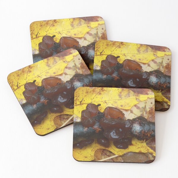 Item preview, Amber Jelly Roll Fungus with Autumn Maple Leaves designed and sold by WolfNoodles.