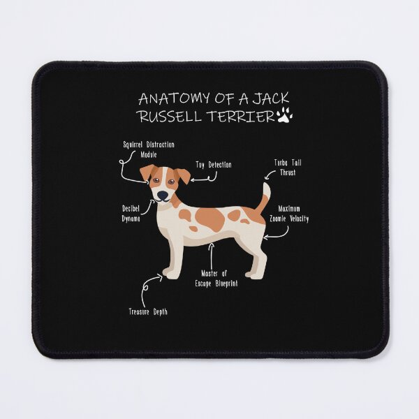 Item preview, Jack Russell Anatomy - Funny JRT Mom Dad Gift designed and sold by Petensity.
