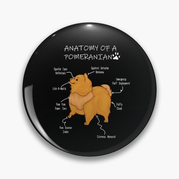 Aperçu de l'œuvre Anatomie d'un poméranien créée et vendue par Petensity.