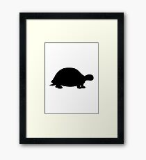 Turtle Framed Print