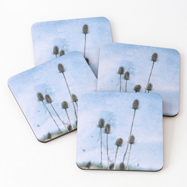 Item preview, Teasel Seed Heads designed and sold by Tanya C  Smith.