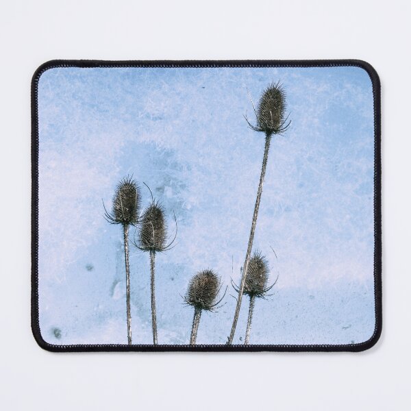 Item preview, Teasel Seed Heads designed and sold by Tanya C Smith.