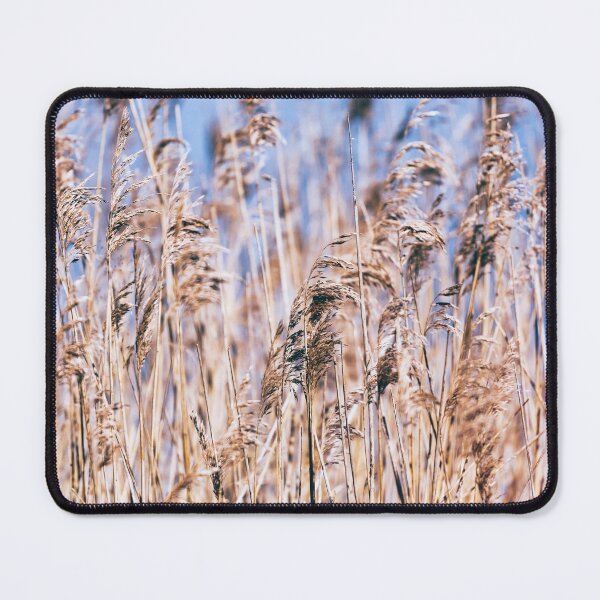 Item preview, Reeds designed and sold by Tanya C Smith.
