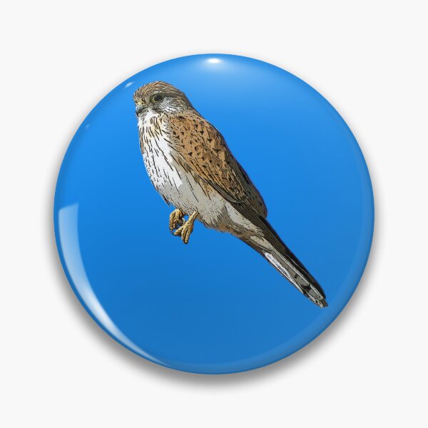 Item preview, Nankeen Australian Kestrel Color Design  designed and sold by designsasstultd.