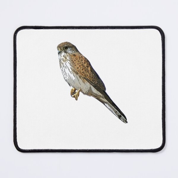 Item preview, Nankeen Australian Kestrel Color Design designed and sold by designsasstultd.