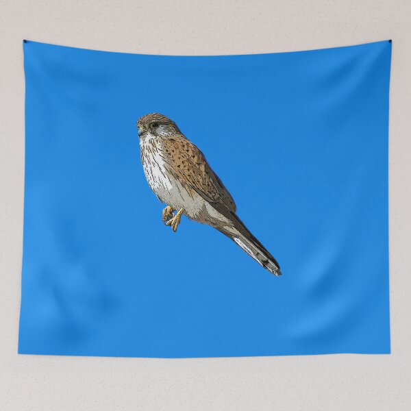 Item preview, Nankeen Australian Kestrel Color Design  designed and sold by designsasstultd.