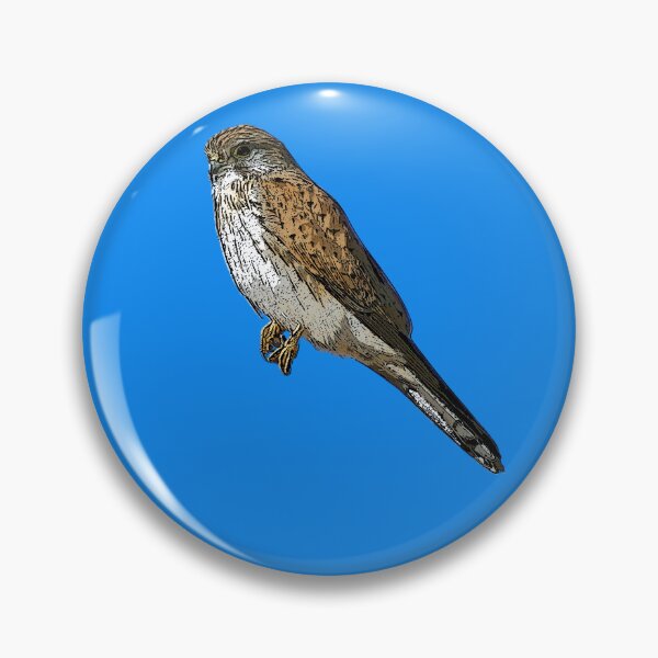 Item preview, Nankeen Australian Kestrel Black Alternate Design  designed and sold by designsasstultd.