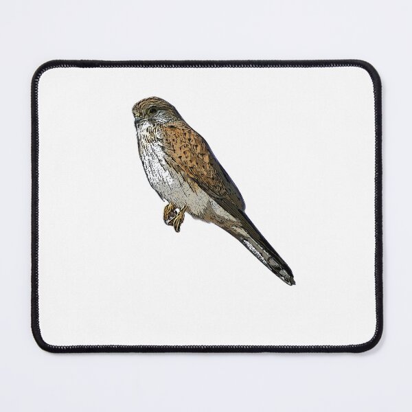 Item preview, Nankeen Australian Kestrel Black Alternate Design designed and sold by designsasstultd.