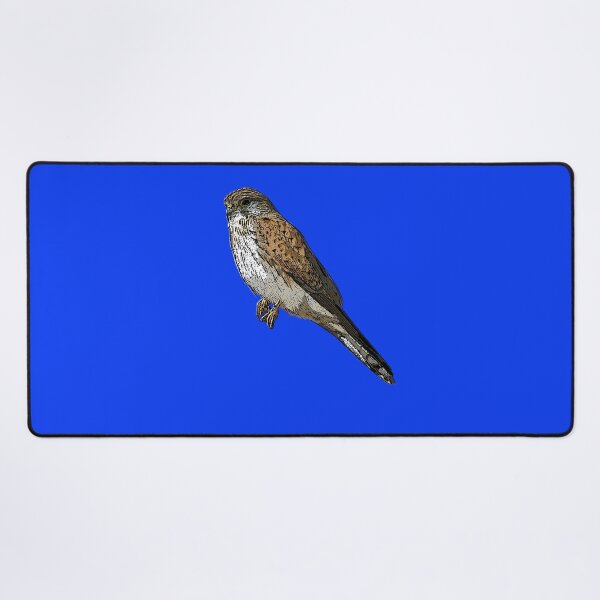 Item preview, Nankeen Australian Kestrel Black Alternate Design  designed and sold by designsasstultd.