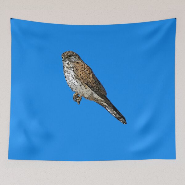 Item preview, Nankeen Australian Kestrel Black Alternate Design  designed and sold by designsasstultd.