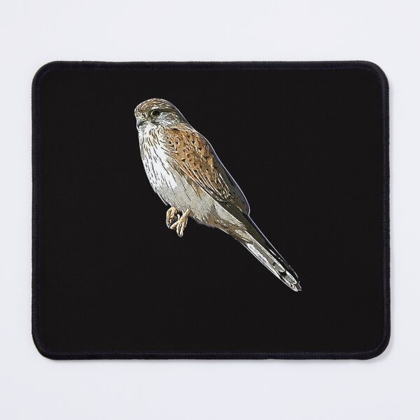 Item preview, Nankeen Australian Kestrel White Alternate Design  designed and sold by designsasstultd.
