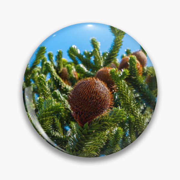 Item preview, Beautiful Snake Pine or Monkey Tree with Cone (Araucaria araucana) in a Sunny Summer Day designed and sold by Mats Silvan.