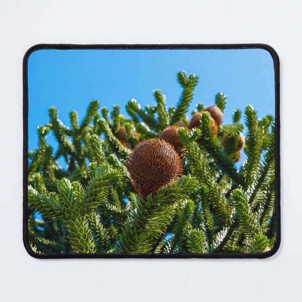 Item preview, Beautiful Snake Pine or Monkey Tree with Cone (Araucaria araucana) in a Sunny Summer Day designed and sold by Mats Silvan.