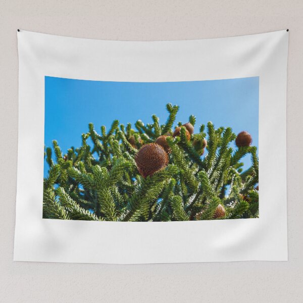 Item preview, Beautiful Snake Pine or Monkey Tree with Cone (Araucaria araucana) in a Sunny Summer Day  designed and sold by Mats Silvan.