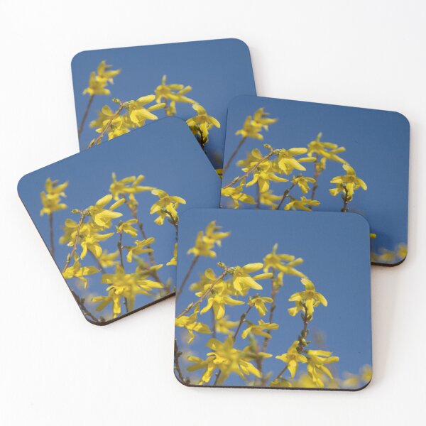Item preview, Forsythia designed and sold by Calidris Fotografie Steffi & Ben Köppler.