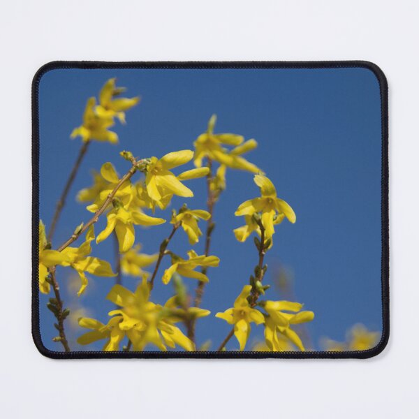 Item preview, Forsythia designed and sold by Calidris Fotografie Steffi & Ben Köppler.