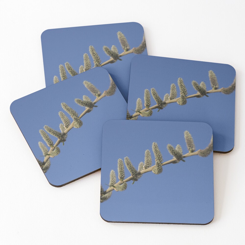 Item preview, Coasters (Set of 4) designed and sold by steffik.