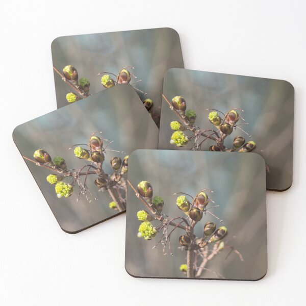 Item preview, Buds designed and sold by Calidris Fotografie Steffi & Ben Köppler.
