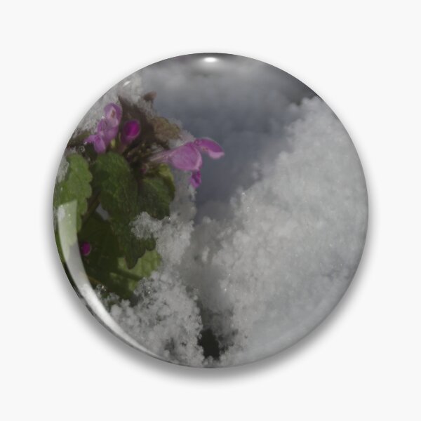 Item preview, Snow covered Dead Nettle designed and sold by Calidris Fotografie Steffi & Ben Köppler.