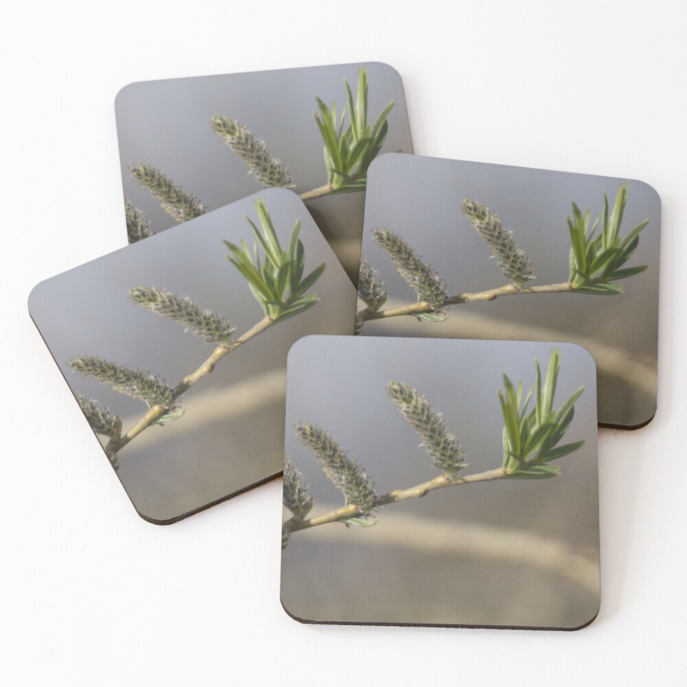 Item preview, Coasters (Set of 4) designed and sold by steffik.