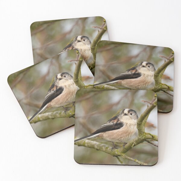 Item preview, Long-tailed tit perching in a tree designed and sold by AndrewJonesFoto.