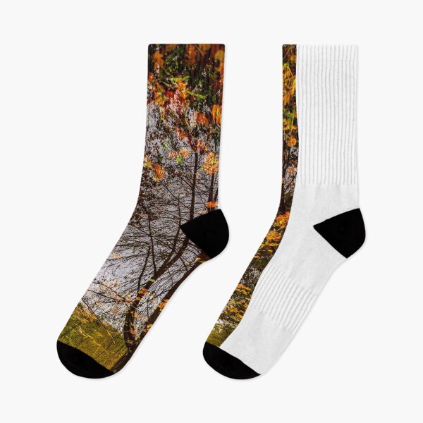 Item preview, Beautiful Flood Water Pond with Tree Reflection and Autumn Leaves Floating on the Water Surface with Sunlight designed and sold by Mats Silvan.