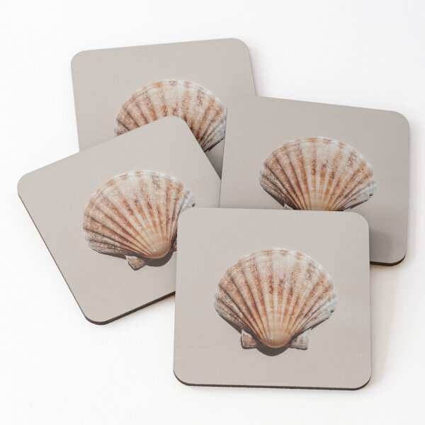 Item preview, Seashell designed and sold by newburyboutique.