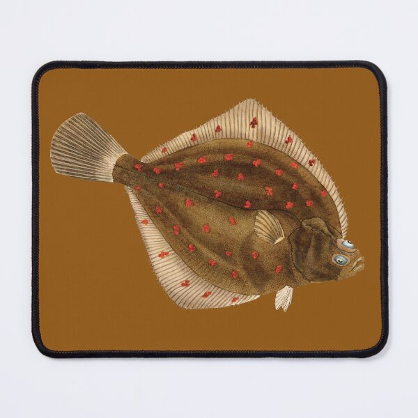 Item preview, Flatfish - European plaice. designed and sold by Luggnagg.