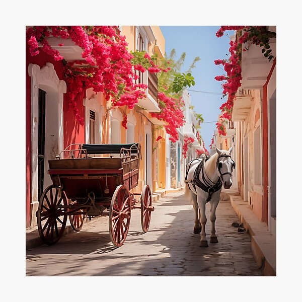 Item preview, Cartagena de Indias Colombia fantastic designed and sold by ElColombianito.