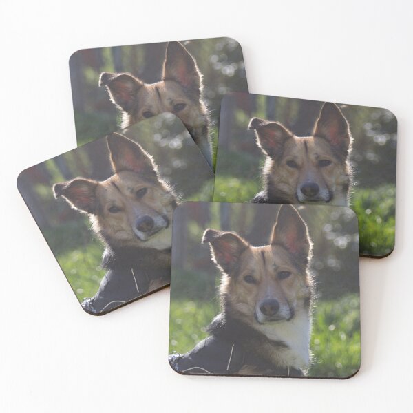 Item preview, A Serious looking Dog designed and sold by Calidris Fotografie Steffi & Ben Köppler.
