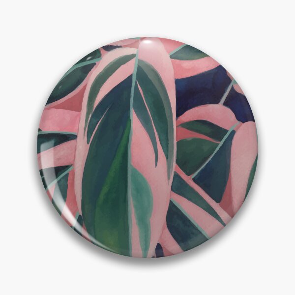 Item preview, Calathea Triostar 3 designed and sold by Ana Moguš.