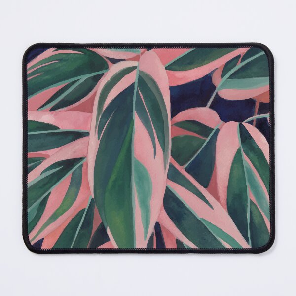 Item preview, Calathea Triostar 3 designed and sold by Ana Moguš.