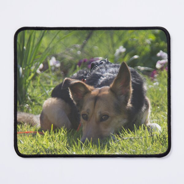 Item preview, What are you up to? designed and sold by Calidris Fotografie Steffi & Ben Köppler.