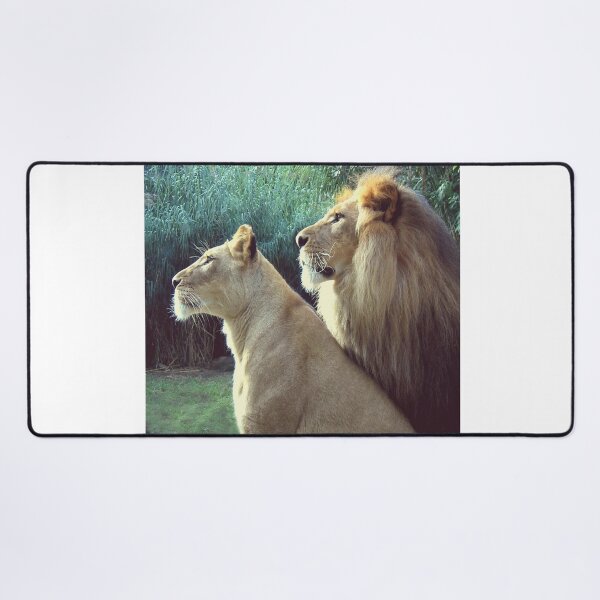 Item preview, Lions designed and sold by anilokin9.