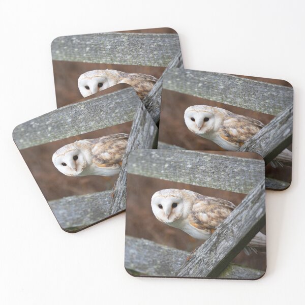 Item preview, Barn Owl perched on a gate designed and sold by RedGrouse.