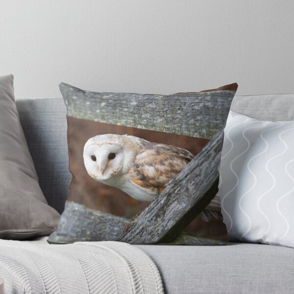 Item preview, Barn Owl perched on a gate designed and sold by RedGrouse.