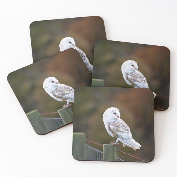 Item preview, Barn Owl on the fence designed and sold by RedGrouse.