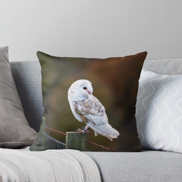 Item preview, Barn Owl on the fence designed and sold by RedGrouse.