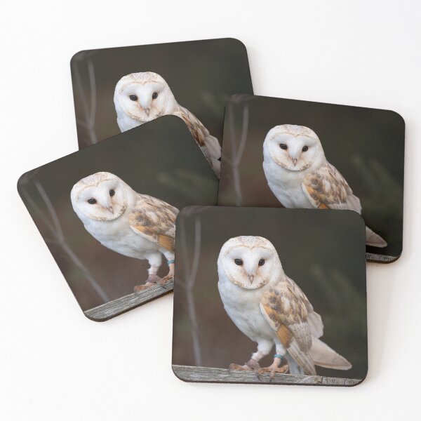 Item preview, Barn Owl perched on a gate designed and sold by RedGrouse.
