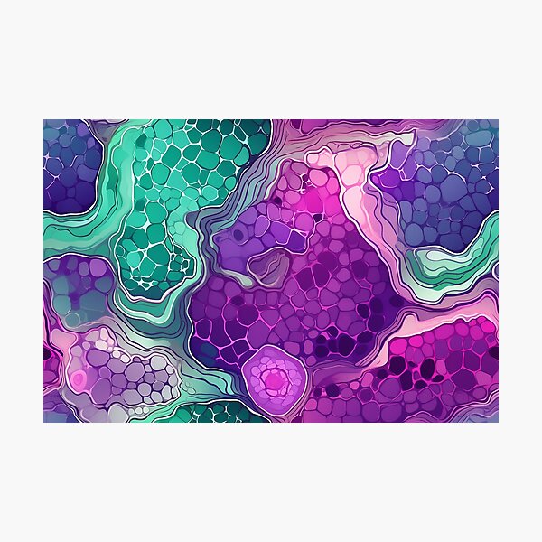 Photographic Print