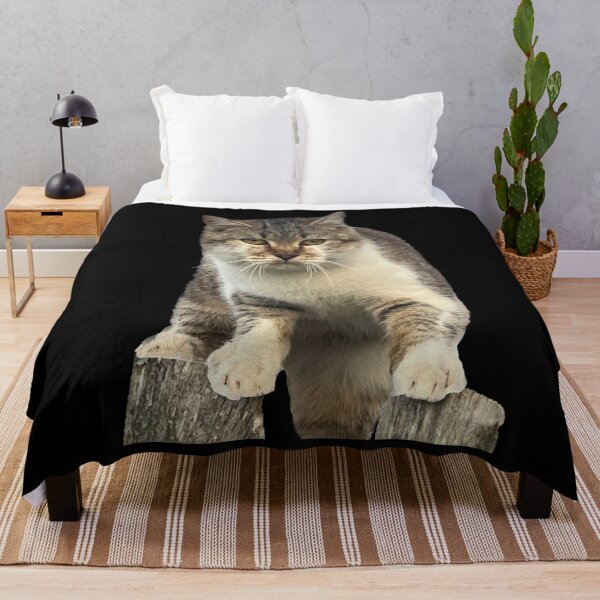 Item preview, Syrskyi the Cat - Ukrainian War Cat Syrskyi Mayorovych designed and sold by Aide.
