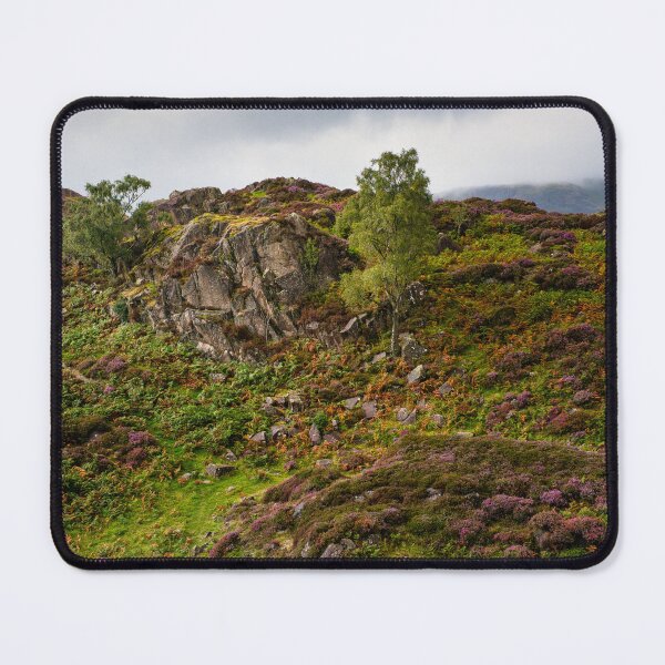 Item preview, In Glorious Bloom designed and sold by John Dunbar.