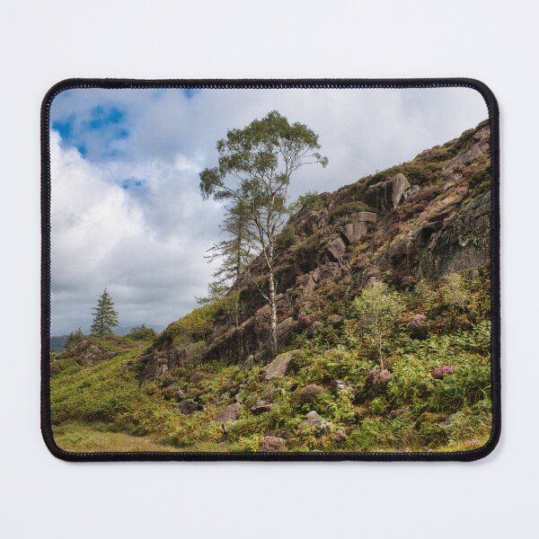 Item preview, Walking over Holme Fell designed and sold by John Dunbar.